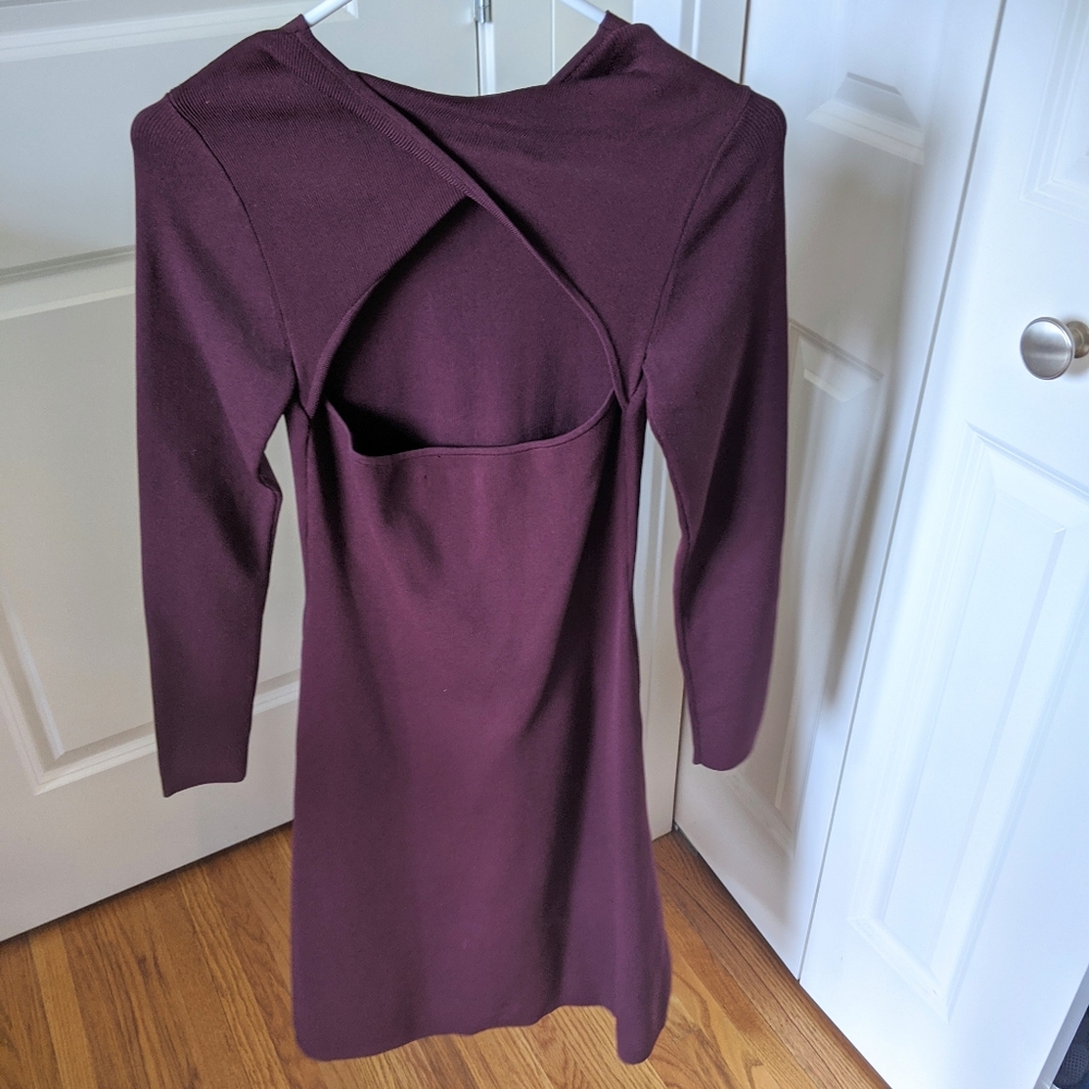 NWOT Aritzia Babaton Anzai Dress